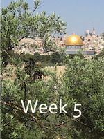 week 5